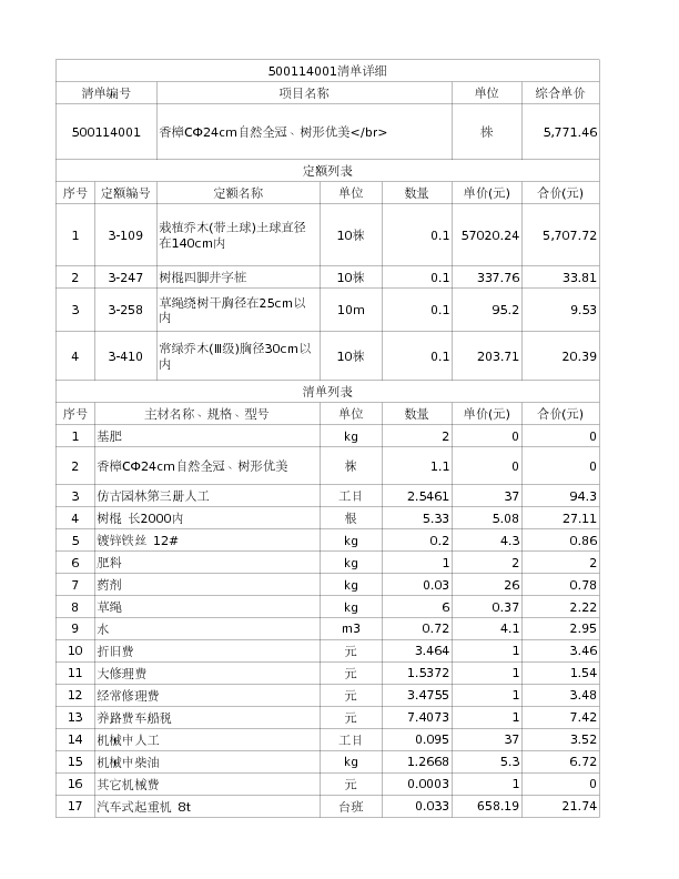 500114001  香樟CФ24cm自然全冠、树形优美